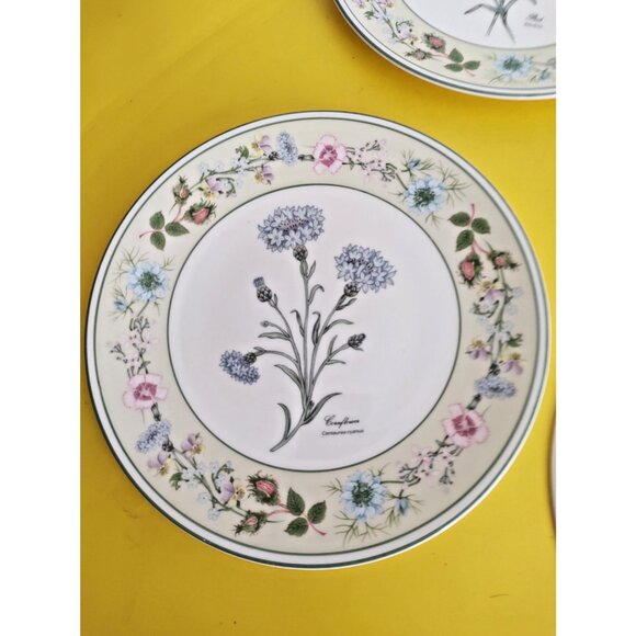 Aynsley Bone China collectors plates set Flowers From the Gardens of Old England - Picture 14 of 16